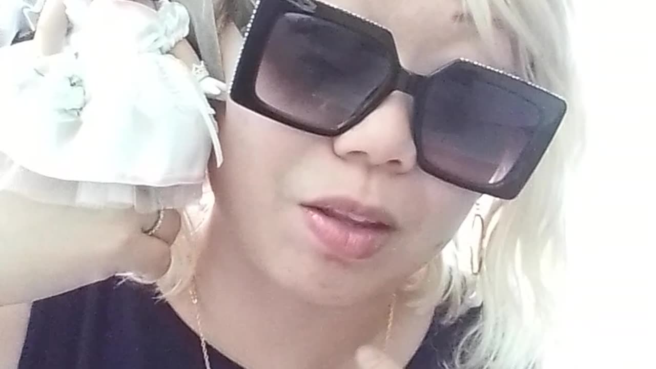 259 glasses kitty 😸🐈