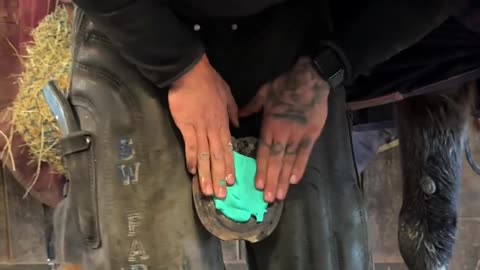 This Is How Horse Shoes Are Renewed
