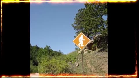 He Saw Bigfoot (RFB Bigfoot Footage)