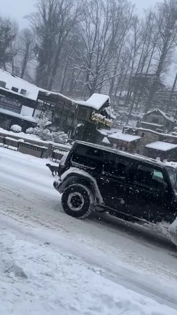 Skier Pulled By Dogs Through Downtown Gatlinburg