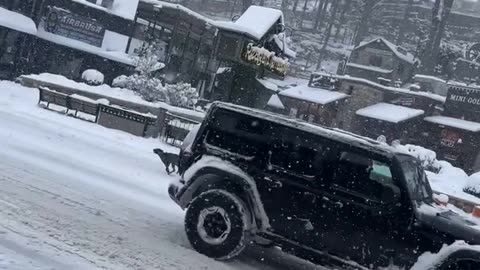 Skier Pulled By Dogs Through Downtown Gatlinburg
