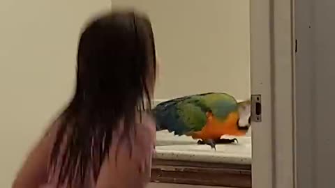 Super Cute And Funny Parrots #17