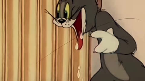 Tom and jerry