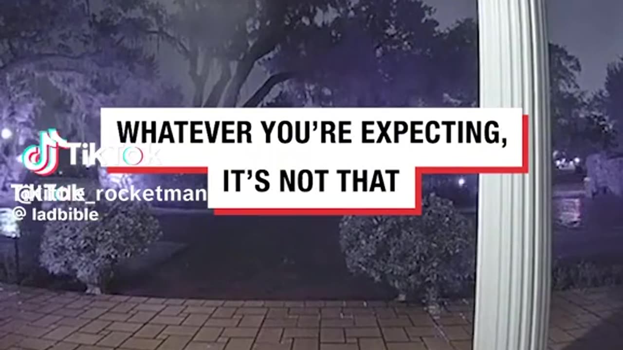 🤣🤣 Whatever You're Expecting.. It's not that !! 🤣🤣 #raccoon #ringdoorbell #funnyanimals #fyp #viral
