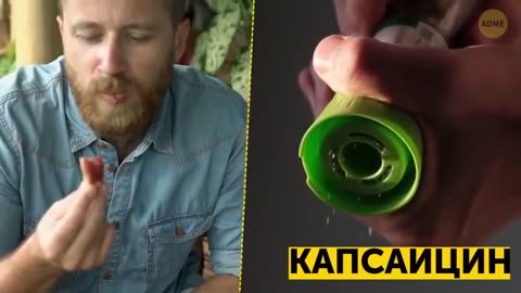 101 любопытный факт, которым стоит поделиться в подходящий момент
