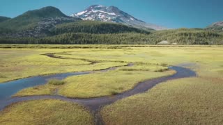 Indie Classical Reflections