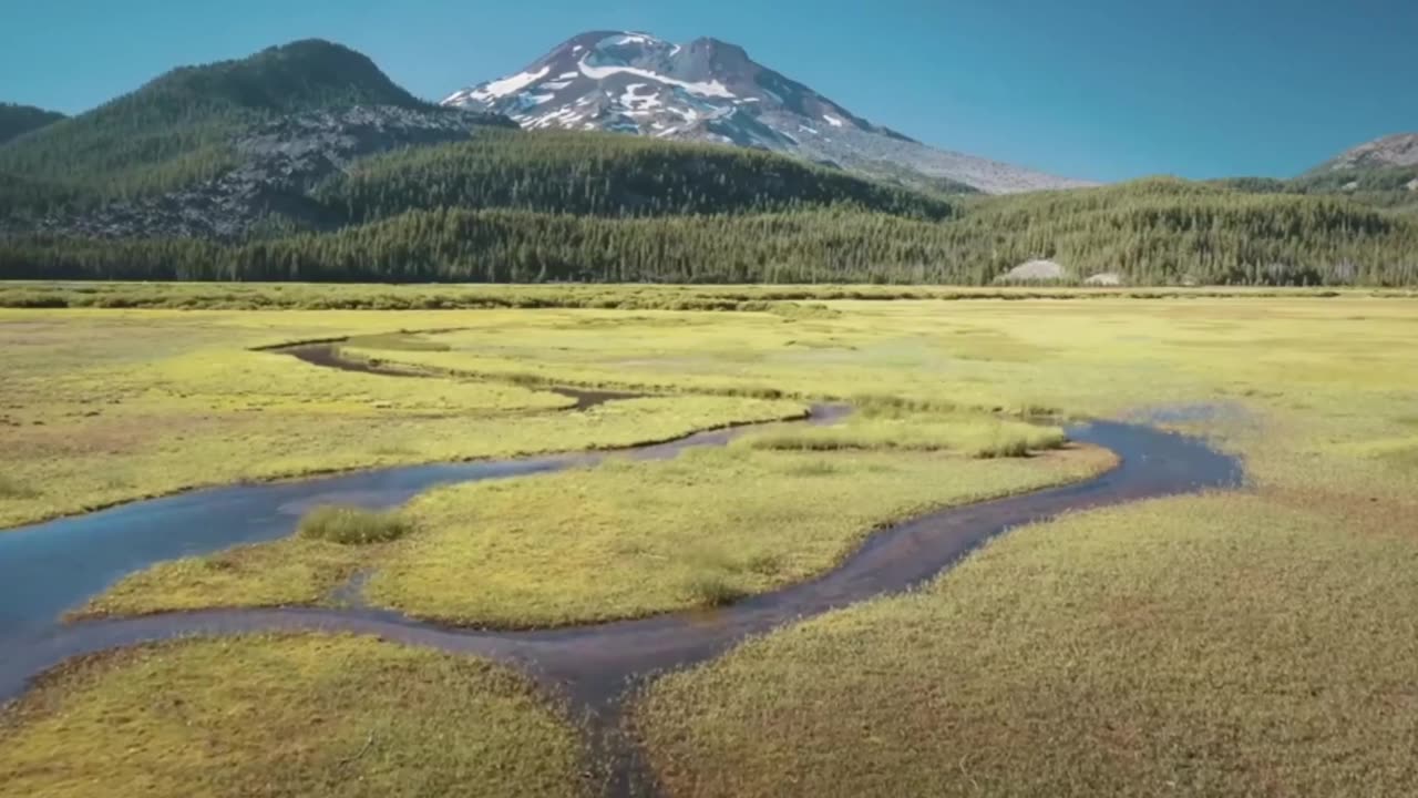 Indie Classical Reflections