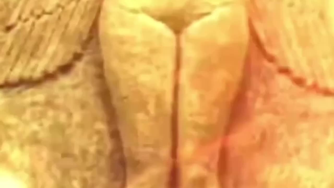 What do rabbits and eggs have to do with Jesus?