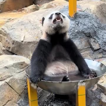 Outgrowing your bath tub