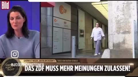 ZDF-Journalistin reicht's und geht an die Öffentlichkeit - Ja, wir haben Fake News verbreitet