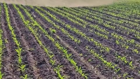 Modern Farming Machines in Action – Harvesting with Tractors and Combines