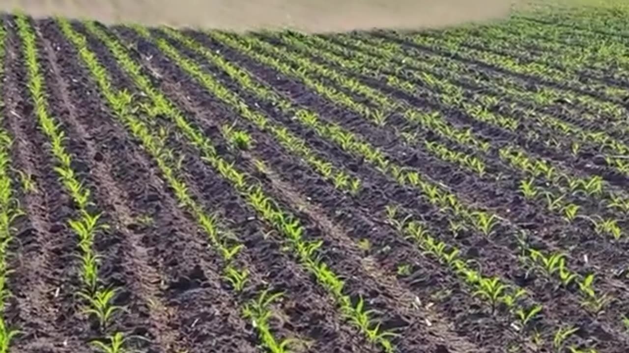 Modern Farming Machines in Action – Harvesting with Tractors and Combines