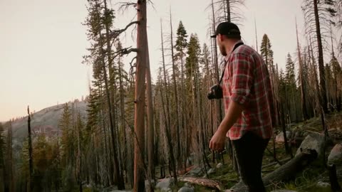 The Most Bizarre And Creepiest Bigfoot Videos You Will Ever See