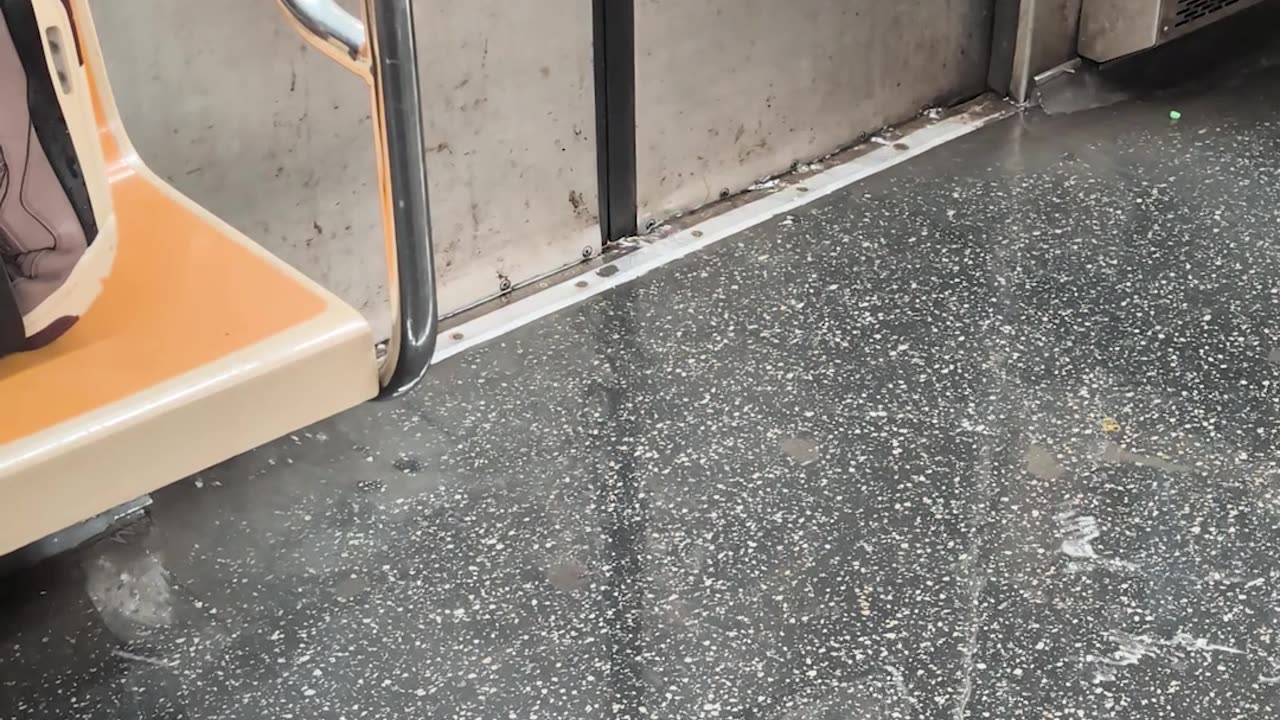 Flood Coverage at a New York Subway Station