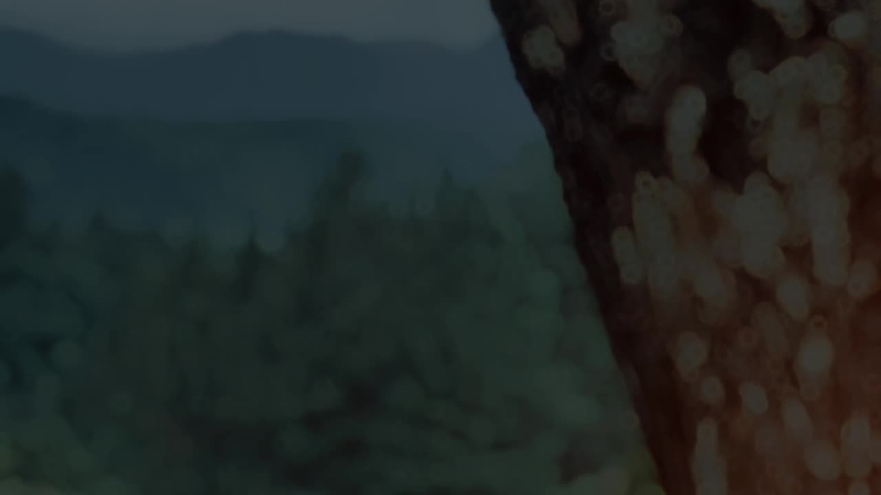 Feel the Nature 4k high quality video