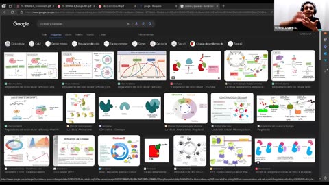 AULA 20 REGULAR 2025 - 1 | Semana 06 | Biología