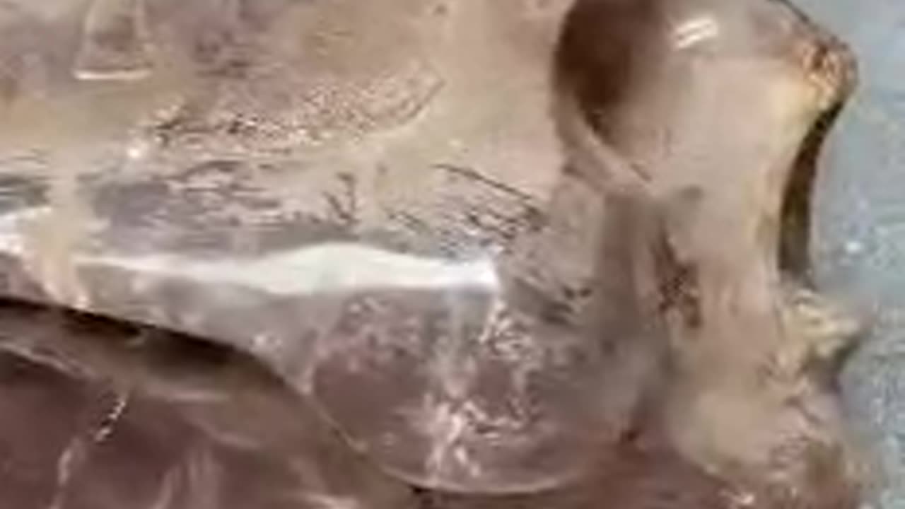 Ancient Alien Skull From Mexico
