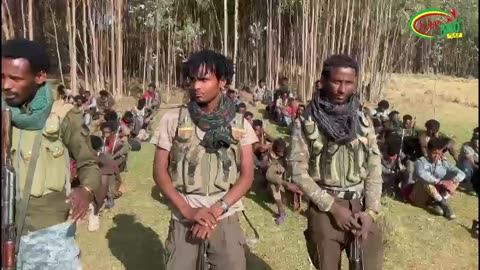 አዳኞቹ የንስር ሻለቃ ጀብዱዎች