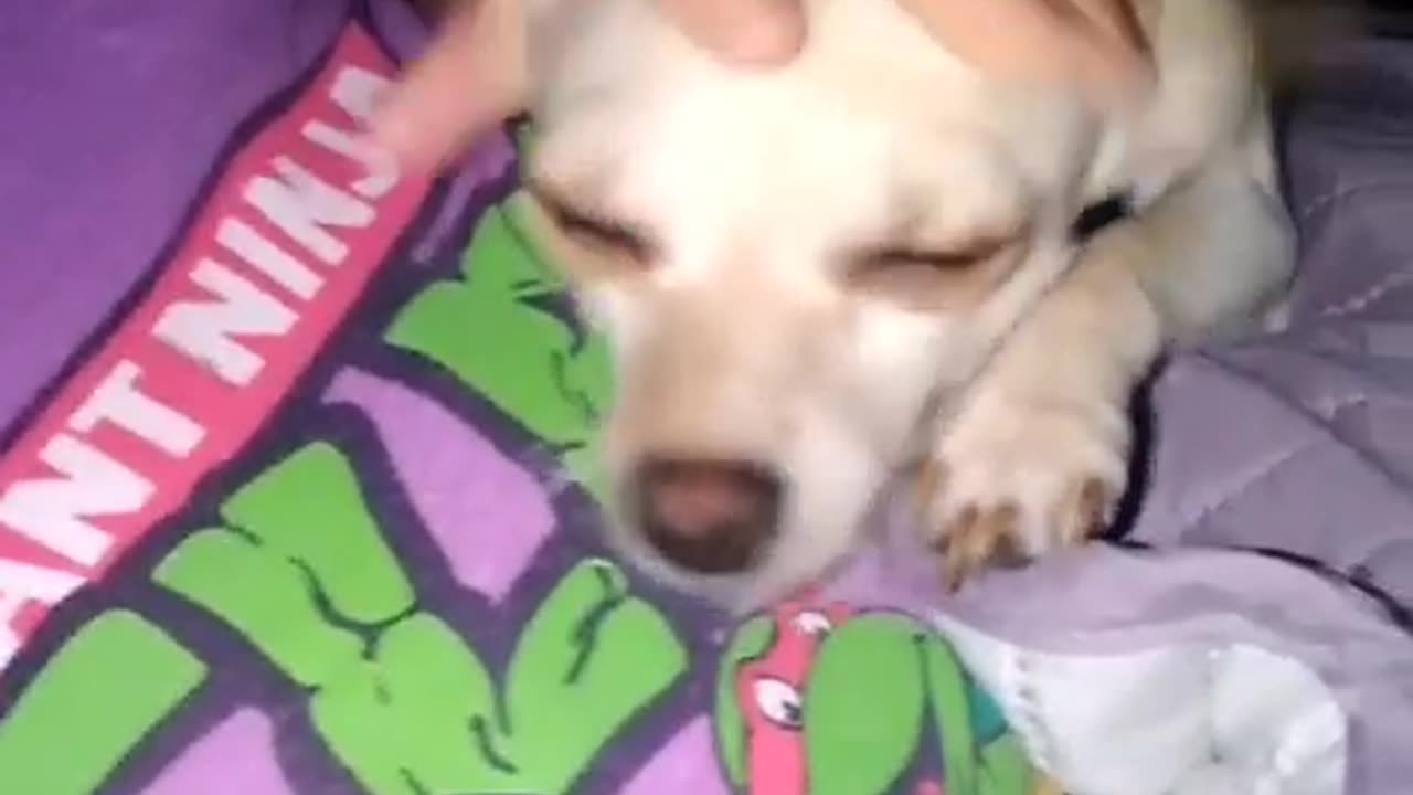 That's my girl Melony