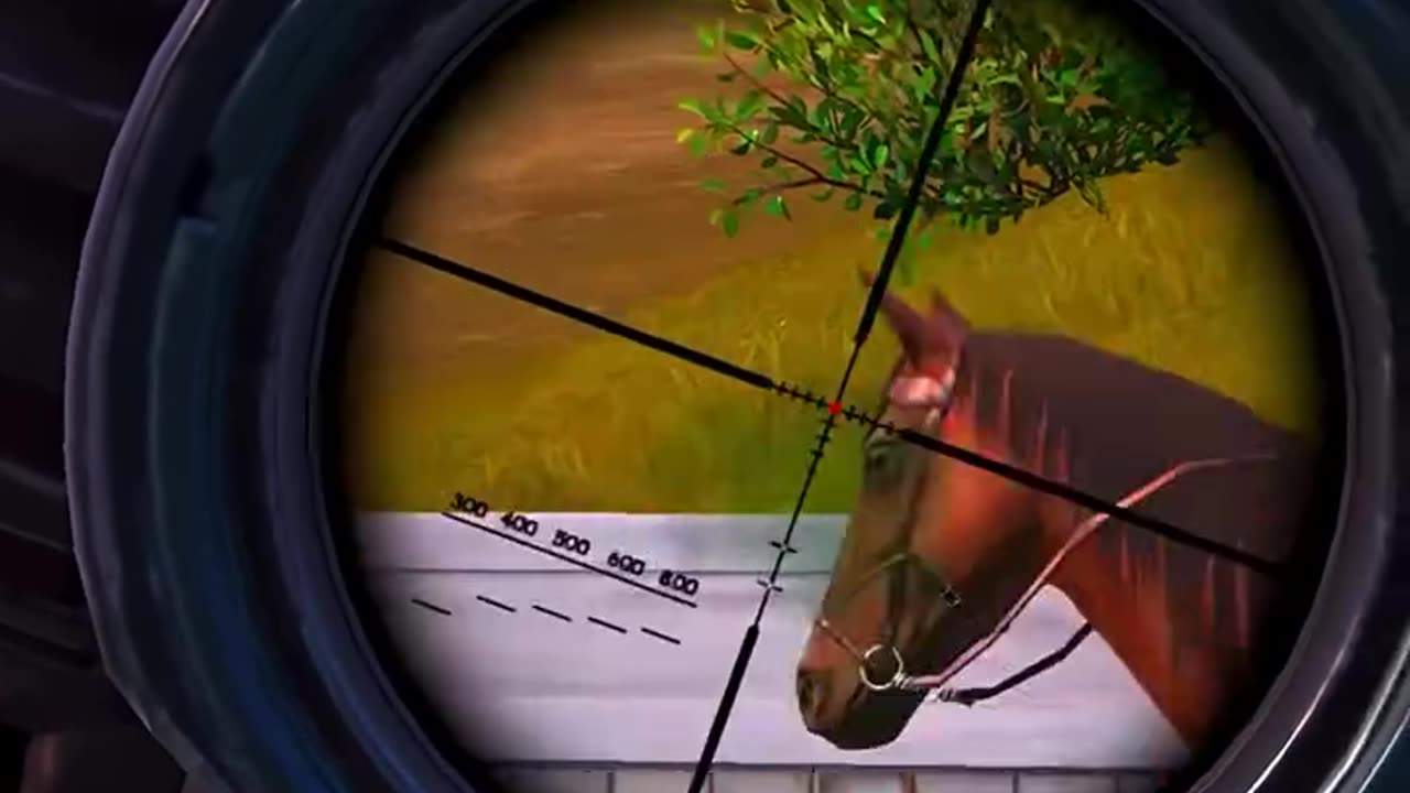 Sorry Horse Lover 😂😅