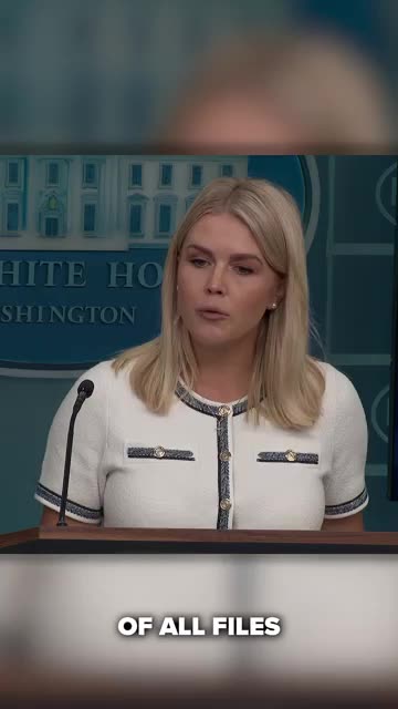 Leavitt says that Democrats were not transparent with the Epstein list