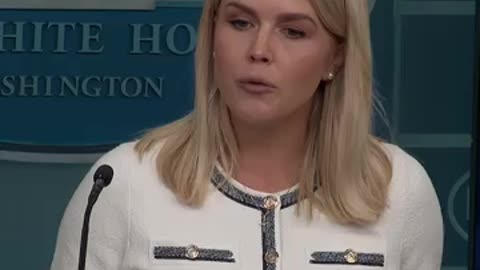 Leavitt says that Democrats were not transparent with the Epstein list