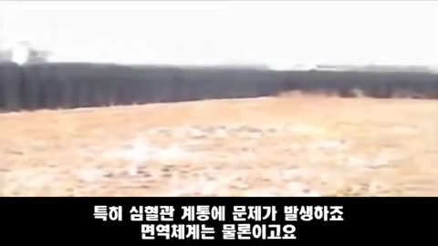 Looks Like Natural Causes - 5G