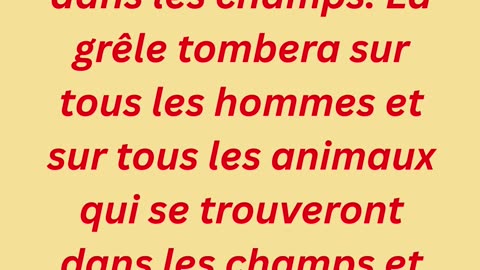 "L’avertissement du tonnerre et du grêle" exode 9:18,19 #shorts #youtube #ytshorts #jesus #views #yt