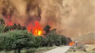 Israeli media says: Today's fires are the largest in "Israel's history."