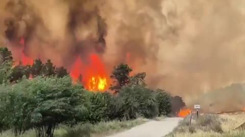 Israeli media says: Today's fires are the largest in "Israel's history."