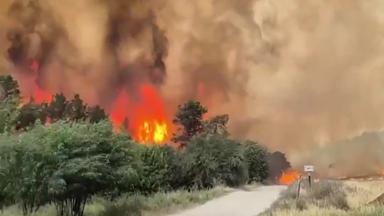Israeli media says: Today's fires are the largest in "Israel's history."
