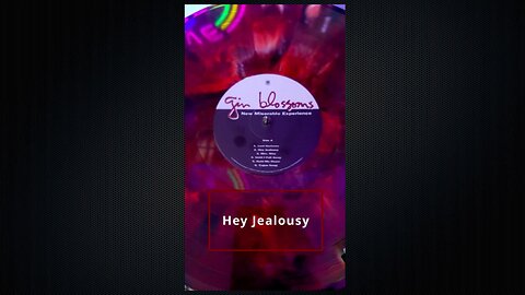 Gin Blossoms "Hey Jealousy" New Miserable Experience Vinyl Record