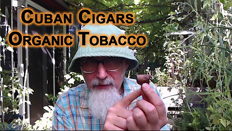 Cuban Cigars: Organic Tobacco
