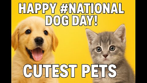 Happy #NationalDogDay! Adorable Dogs & Cats Compilation