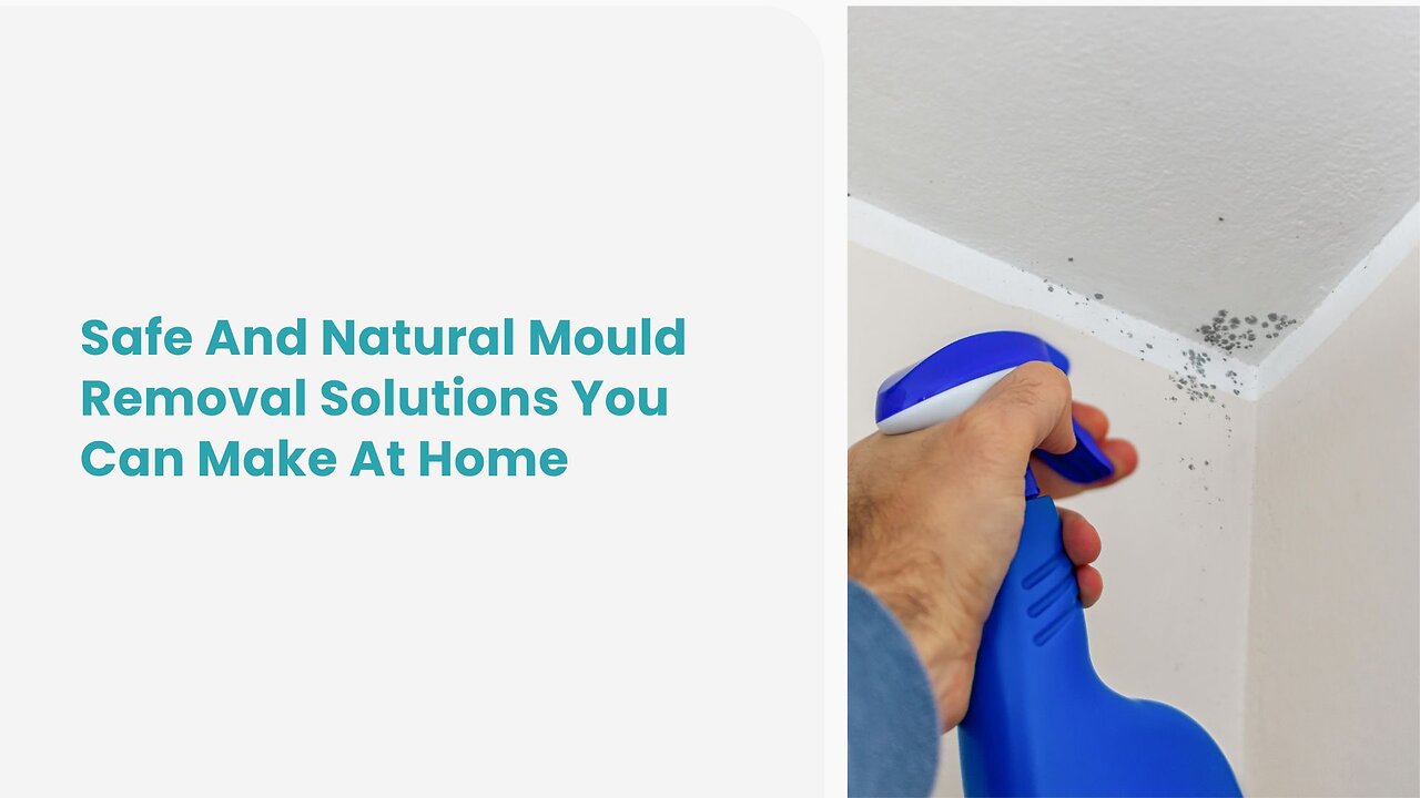 Safe And Natural Mould Removal Solutions You Can Make At Home