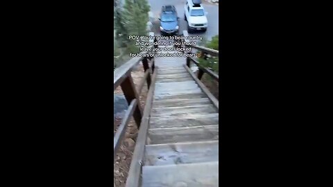 When In Bear Country Do You Leave Your Doors Locked Or Unlocked?🐻 🚙💣