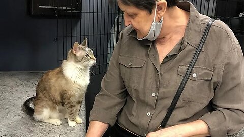 When the Cat Gods have smiled upon you ❤️