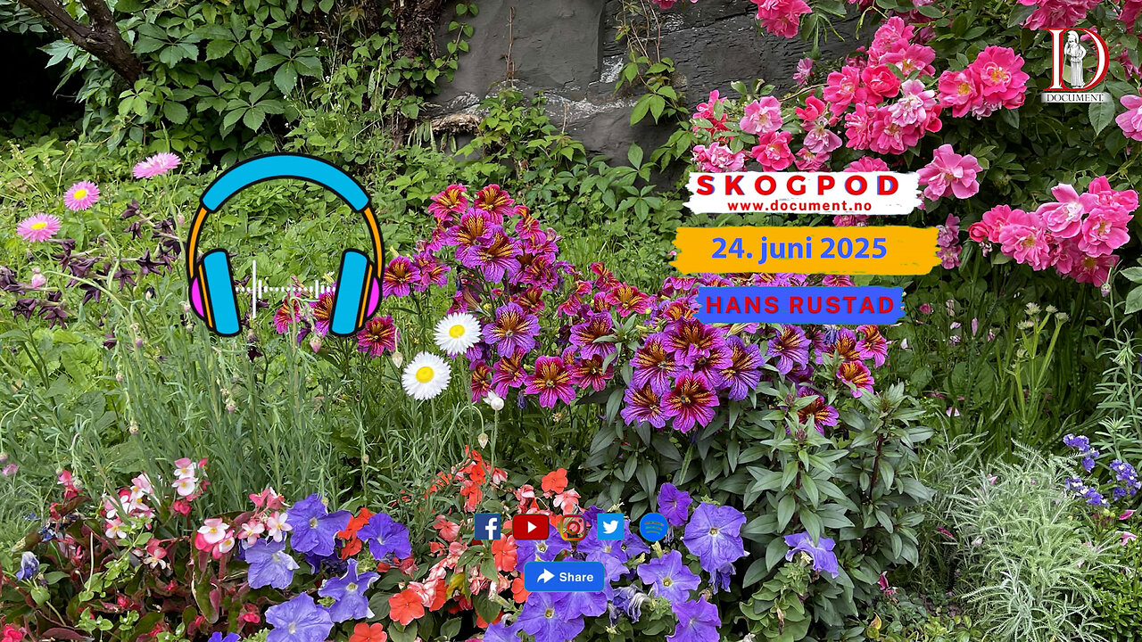 Skogpod 24. juni 2025