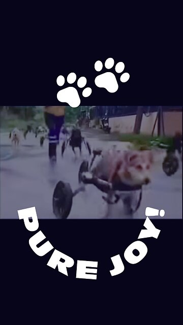 Just Let Your Love Grow