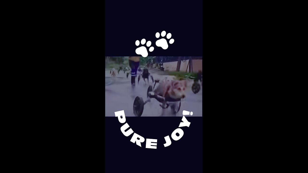 Just Let Your Love Grow