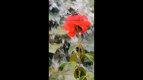 🔥 Surah Al-Muddathir 74:1–7 سورة المدثر ⚡ 🌙 #Quran #shorts #viral #love #youtubeshorts #trending