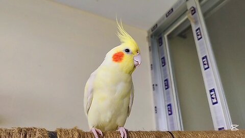 I Think I am Cute