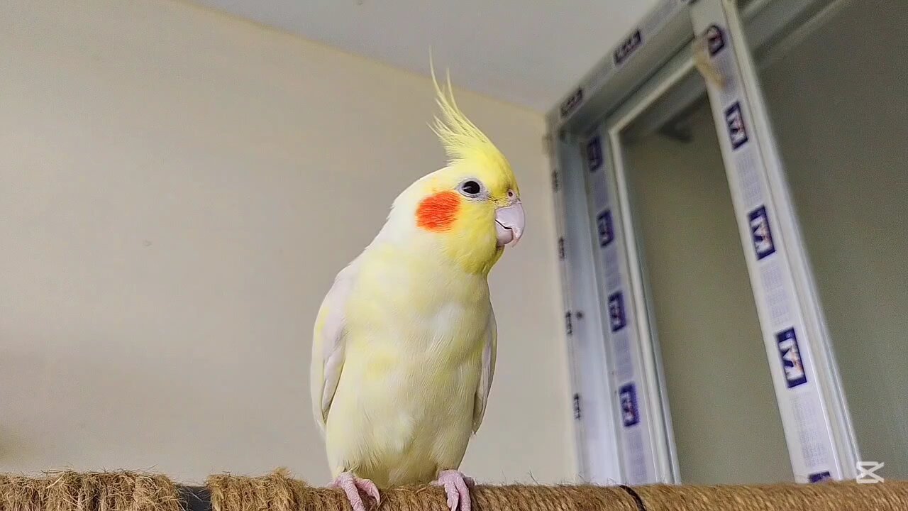 I Think I am Cute