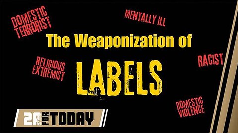 Verburg Family Crisis - The Weaponization of the Domestic Violence Statutes
