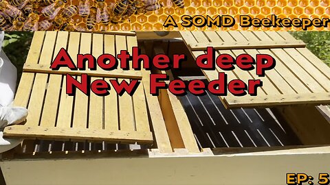 SOMD Beekeeping ep: 5 - 1 Hives upgrade