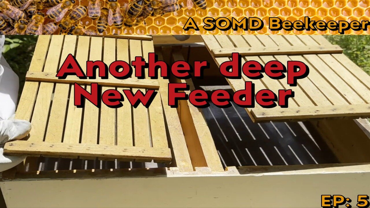 SOMD Beekeeping ep: 5 - 1 Hives upgrade