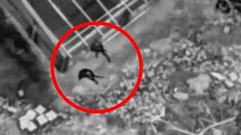 Two terrorists who were in and out a hospital eliminated.