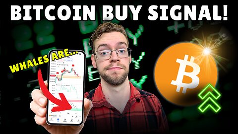 Bitcoin Buy Signal Just Flashed 🚨 Next Move Critical