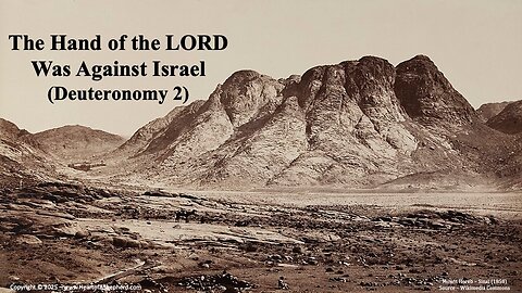 The Hand of the LORD Was Against Israel (Deuteronomy 2) from www.HeartofAShepherd.com