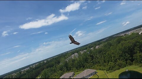 🦅 Round and Round - Ratt 🦅